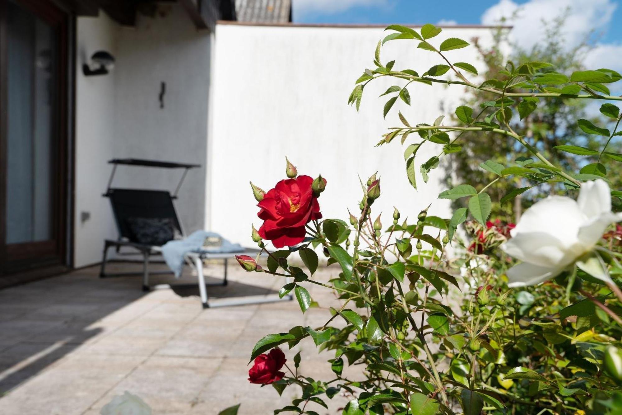 Sonneneck 24 Villa Süssau Eksteriør billede